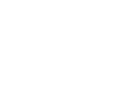 item.alt icon